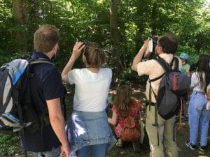 Balades autour des oiseaux dans le Bois Hue © NMA