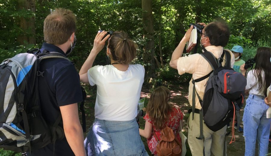 Balades autour des oiseaux dans le Bois Hue © NMA