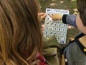 Balades autour des oiseaux dans le Bois Hue © NMA