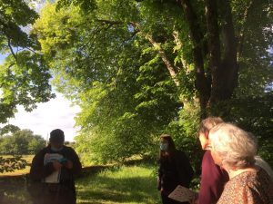 Balades autour des oiseaux dans le Bois Hue © NMA