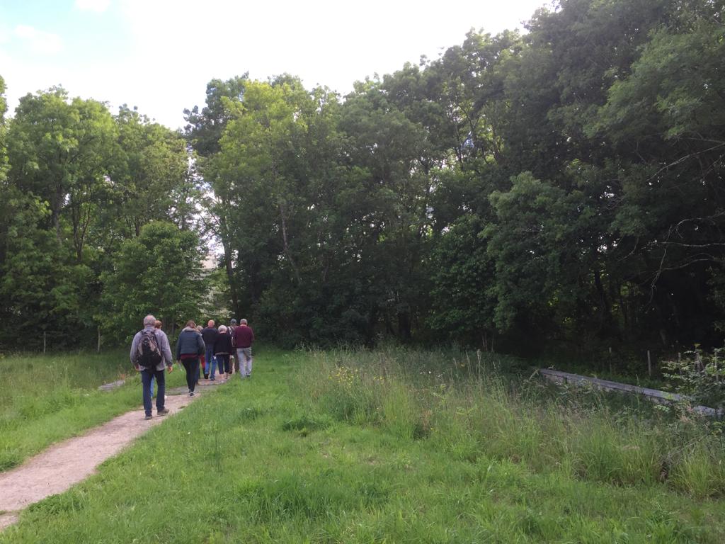 Balades autour des oiseaux dans le Bois Hue © NMA