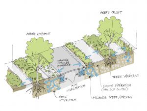 Fosse de Stockholm, exemple de dispositif installé sur l’avenue Chasteland © Colas Vienne