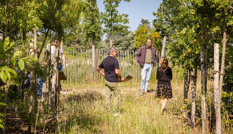 Le jardin test de Transfert @ Guillaume Satre